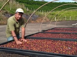 Machina Coffee COFFEE Brazil - Sitio Gamelao - Natural - Filter