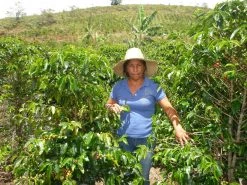 Machina Coffee Colombia - Uribe Community - Washed - Espresso